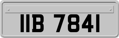 IIB7841