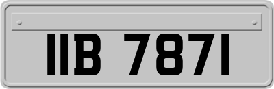 IIB7871