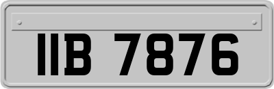 IIB7876