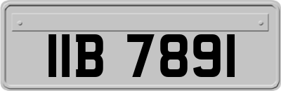 IIB7891