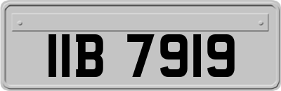 IIB7919