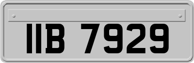 IIB7929