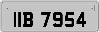 IIB7954
