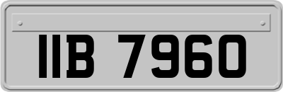 IIB7960