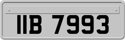 IIB7993