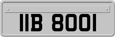 IIB8001