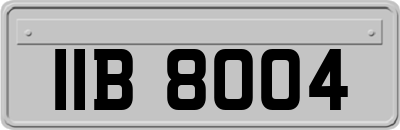 IIB8004