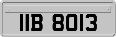 IIB8013