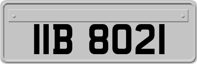 IIB8021