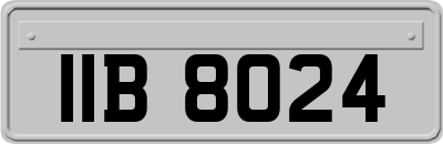 IIB8024
