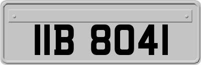 IIB8041