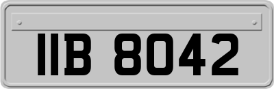 IIB8042