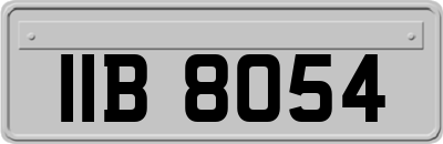 IIB8054