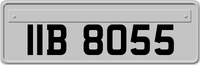 IIB8055