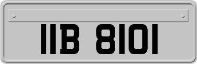 IIB8101