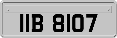 IIB8107
