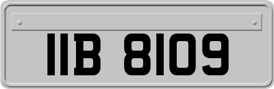 IIB8109