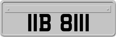 IIB8111