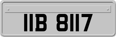 IIB8117
