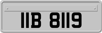 IIB8119