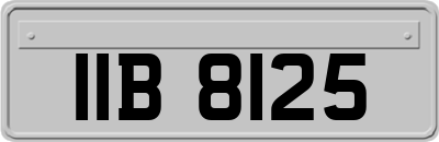 IIB8125