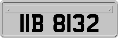 IIB8132