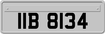 IIB8134