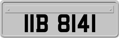 IIB8141