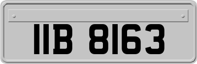 IIB8163