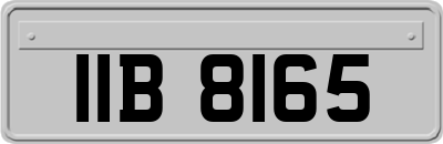 IIB8165