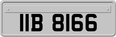 IIB8166