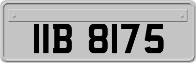 IIB8175