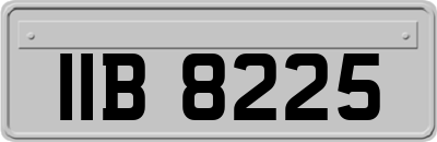 IIB8225