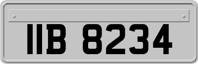 IIB8234