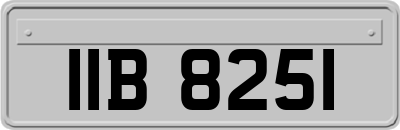 IIB8251