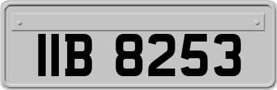 IIB8253