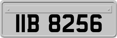 IIB8256