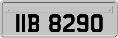 IIB8290