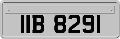 IIB8291