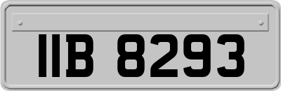 IIB8293