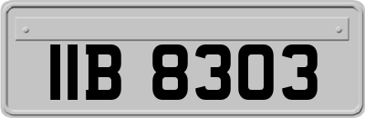 IIB8303