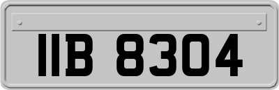 IIB8304