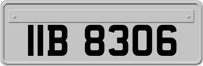 IIB8306