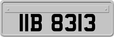 IIB8313