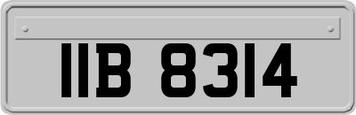 IIB8314