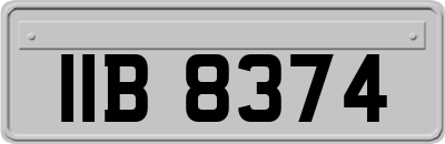 IIB8374