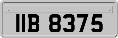 IIB8375
