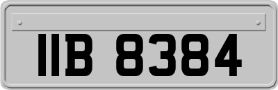 IIB8384