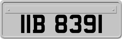 IIB8391