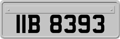 IIB8393